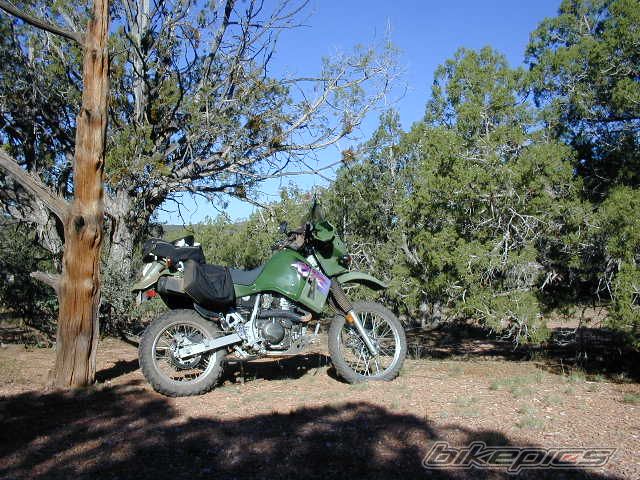 Bike Photo 896447
