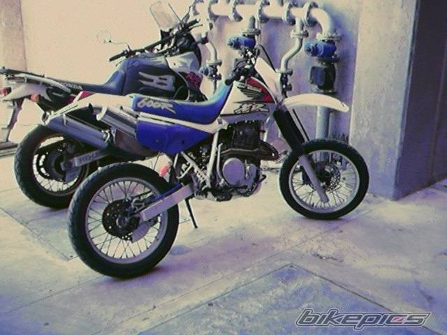Photo 89690