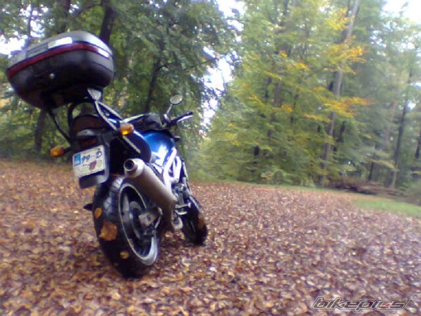 Photo 896925