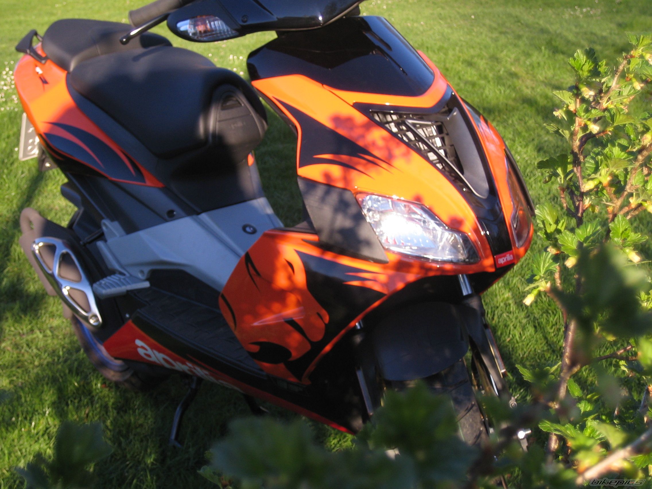 Bike Photo 896945