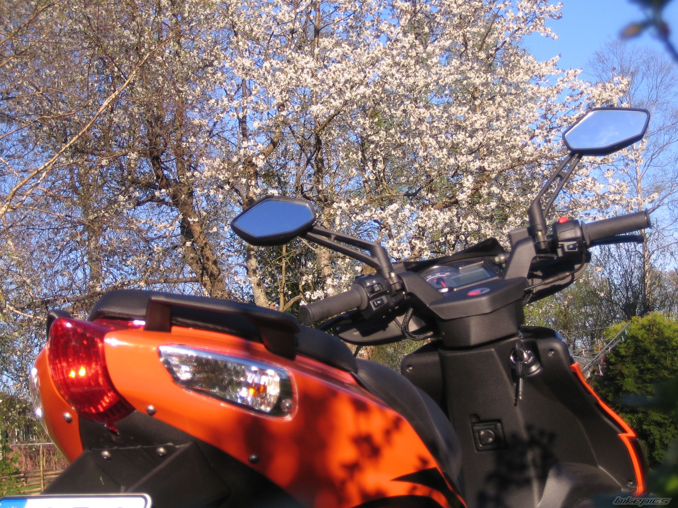 Bike Photo 896954