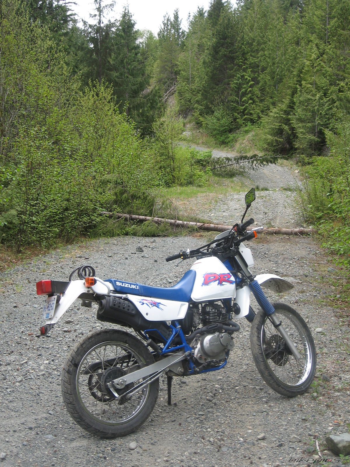 Photo 897424