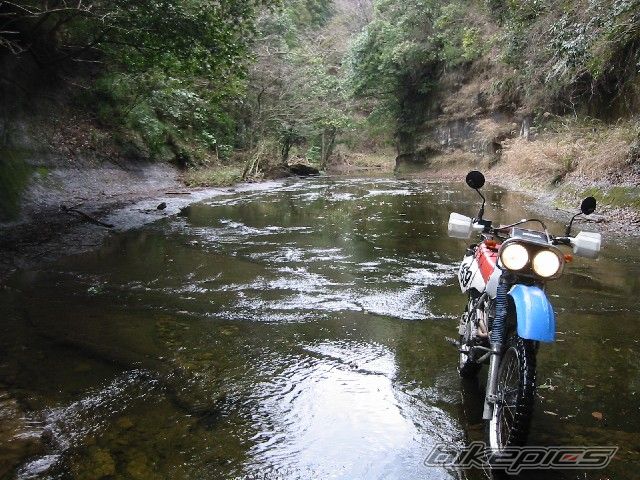 Bike Photo 897519
