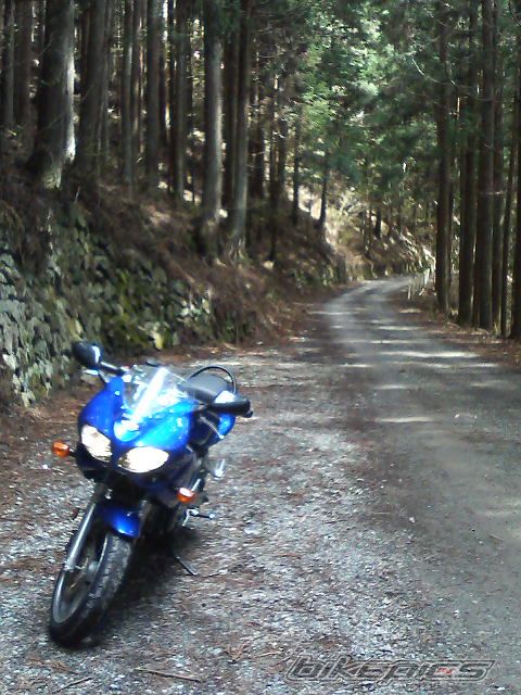 Bike Photo 897553
