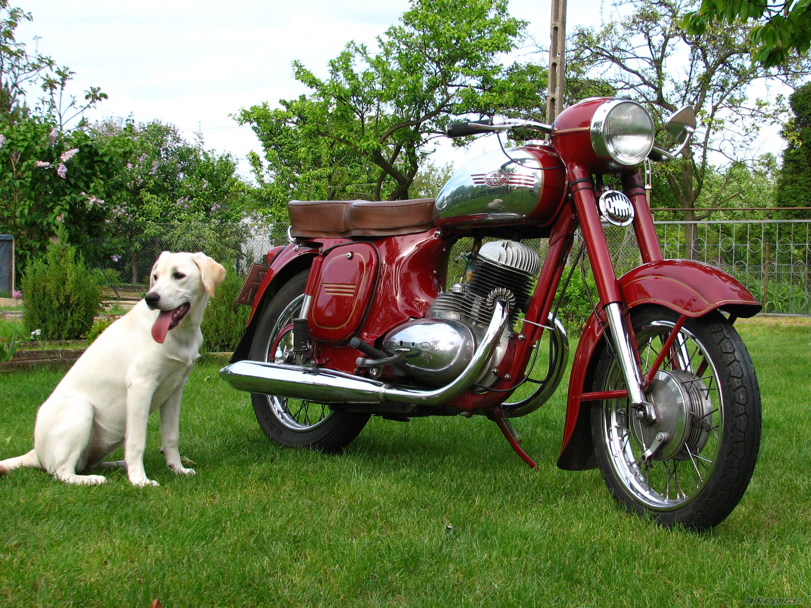 Bike Photo 897608
