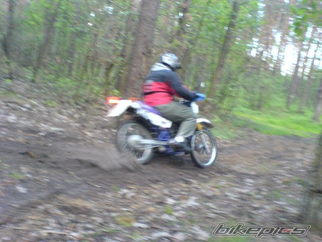 Photo 898439