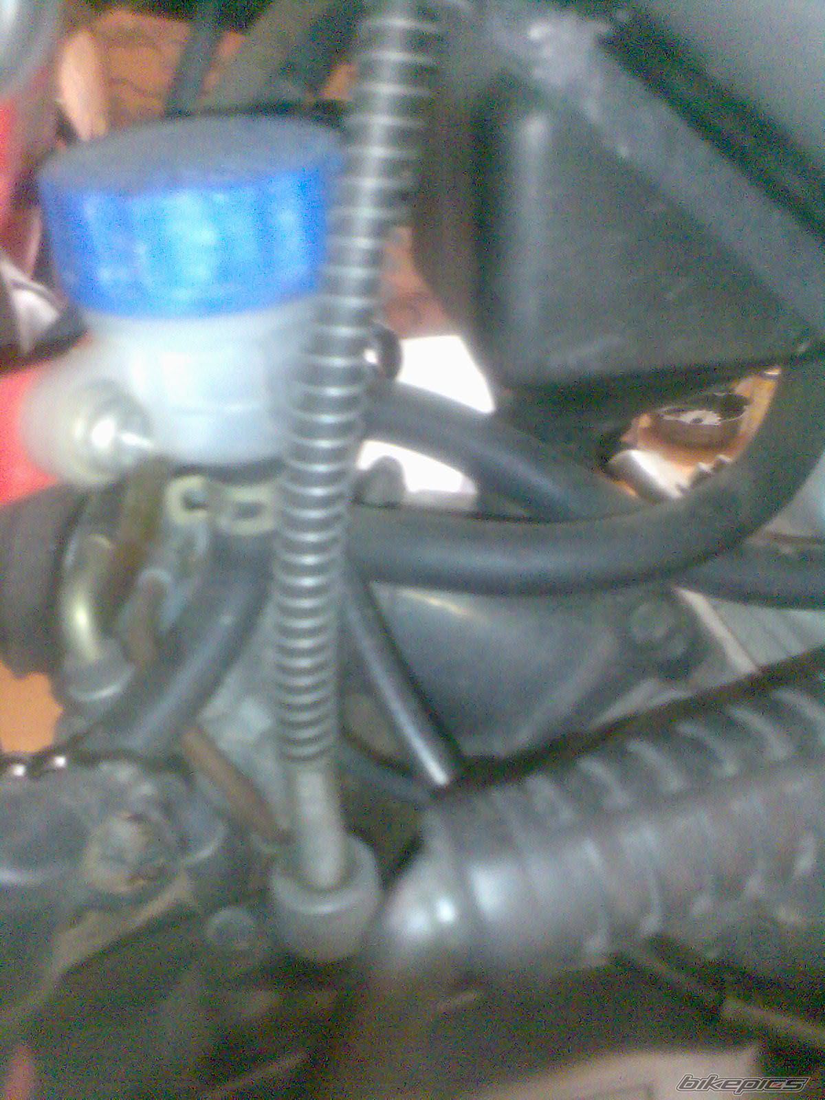 Photo 898898