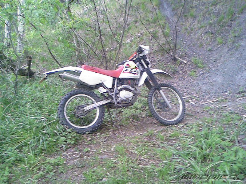 Photo 898962