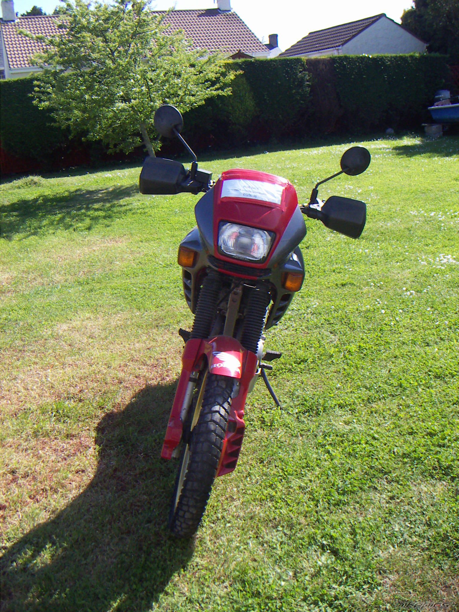 Photo 899128