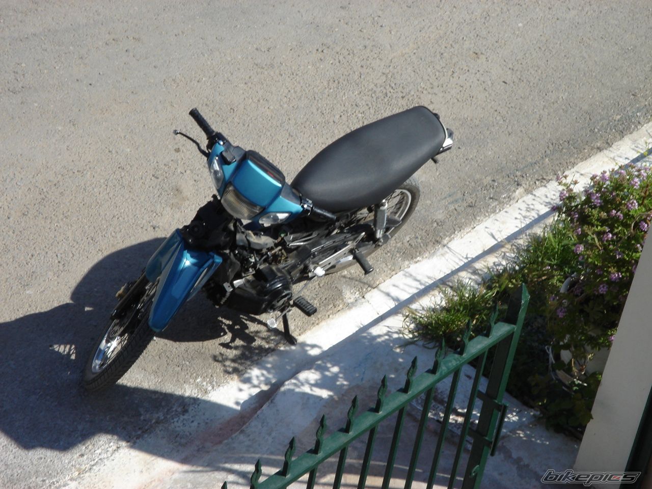 Photo 899419