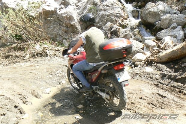 Photo 899820