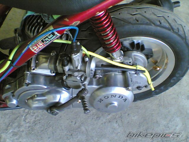 Photo 900007