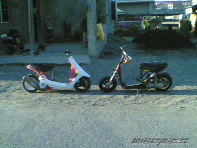 Photo 900008