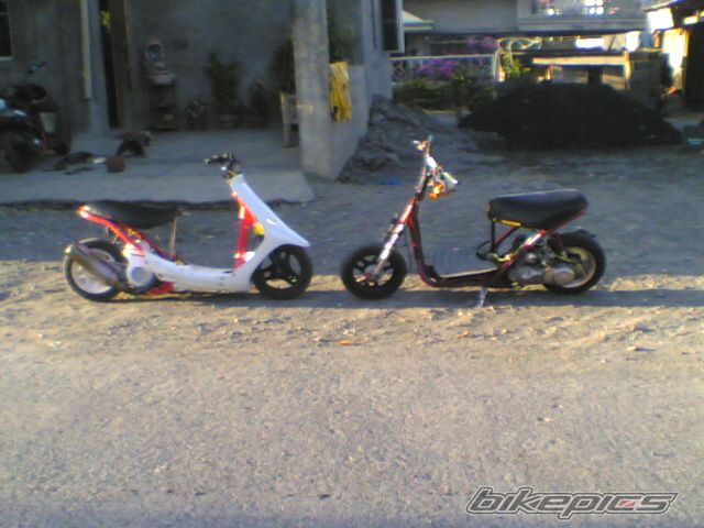 Bike Photo 900009