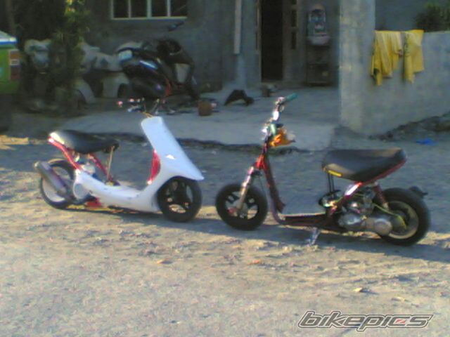 Photo 900015