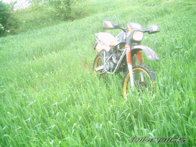 Photo 900016