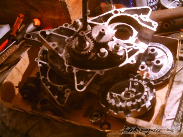 Photo 900020