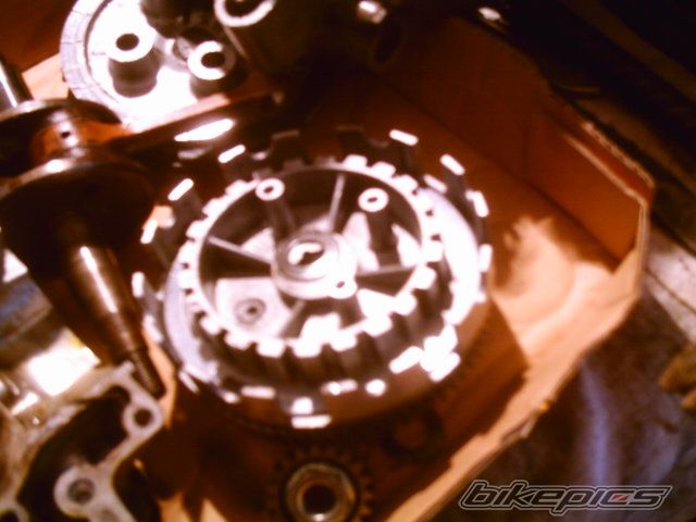 Photo 900021