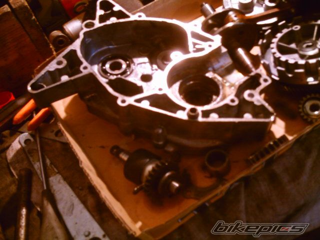 Photo 900023