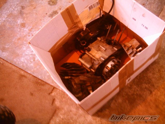 Photo 900024