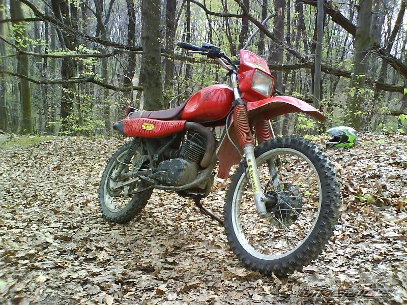 Photo 900089