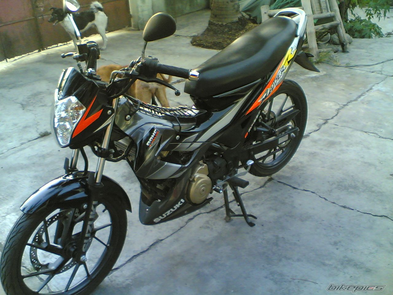 Photo 900113