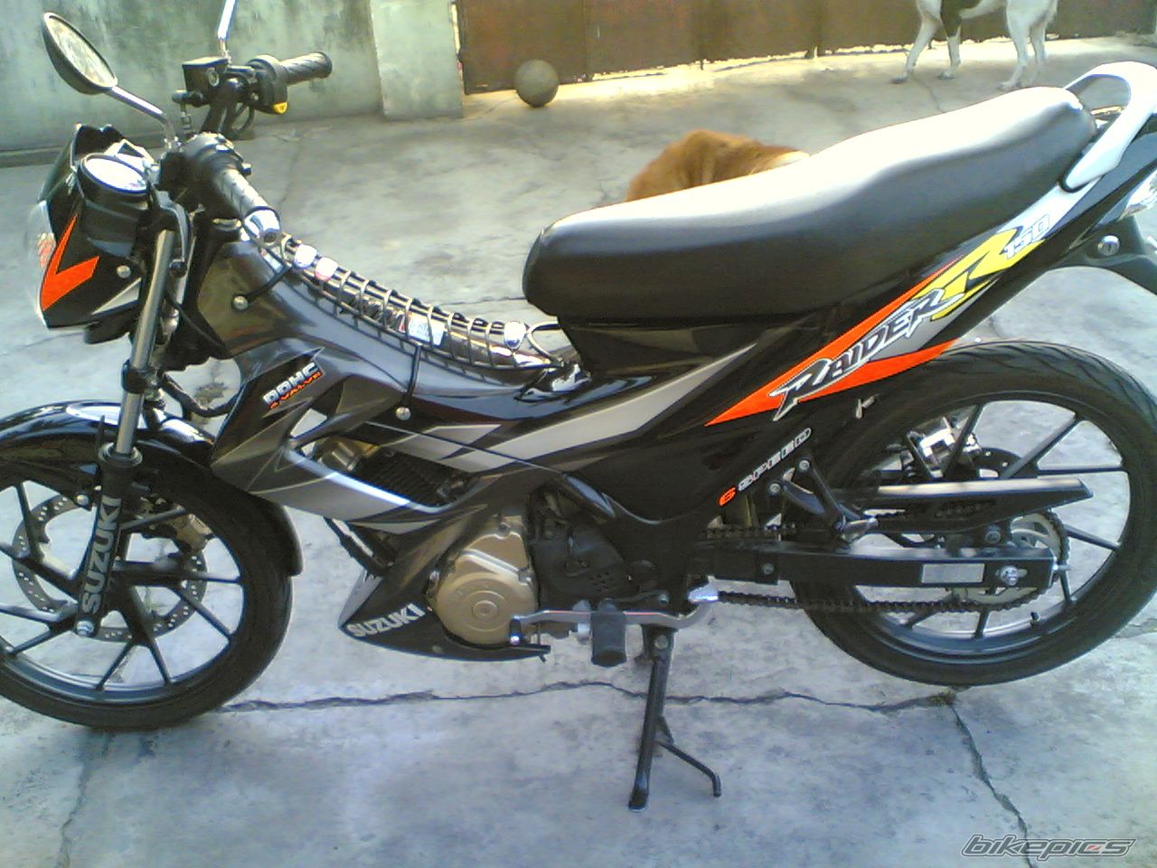 Photo 900115