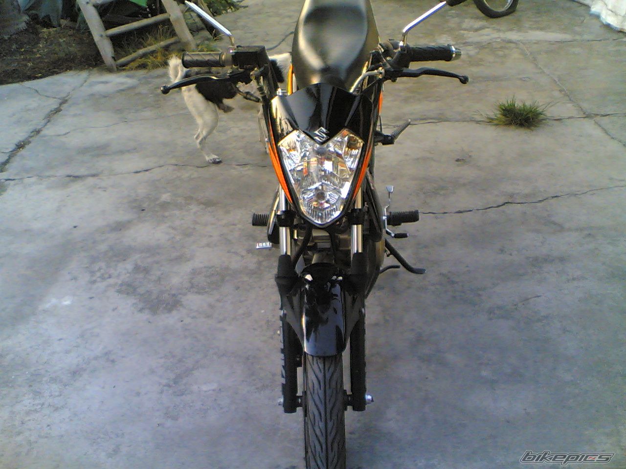 Photo 900116