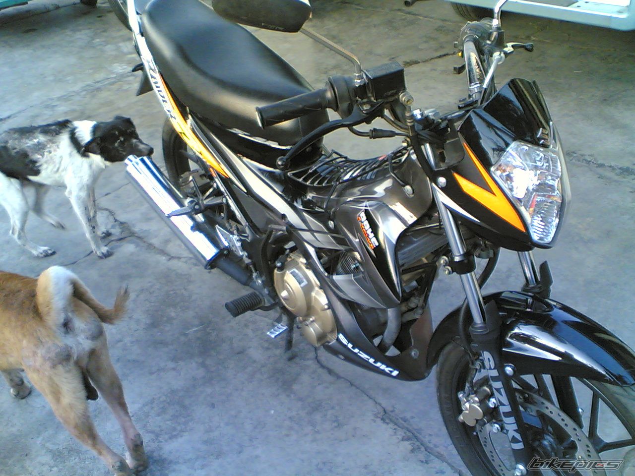 Photo 900117