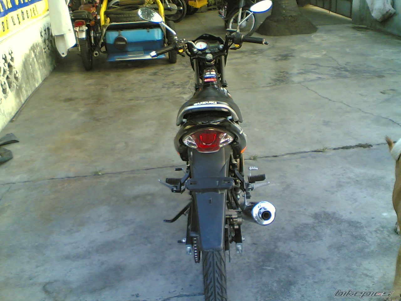 Photo 900124