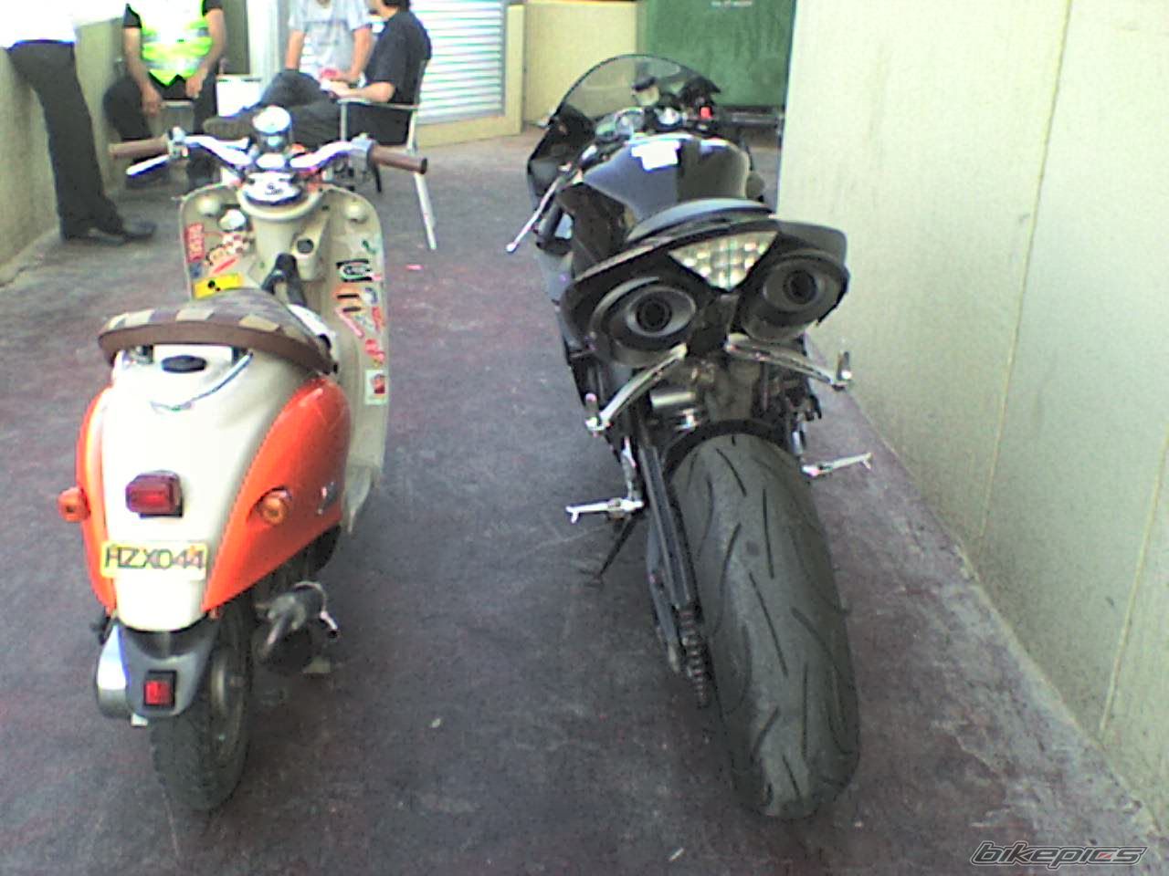 Photo 900146