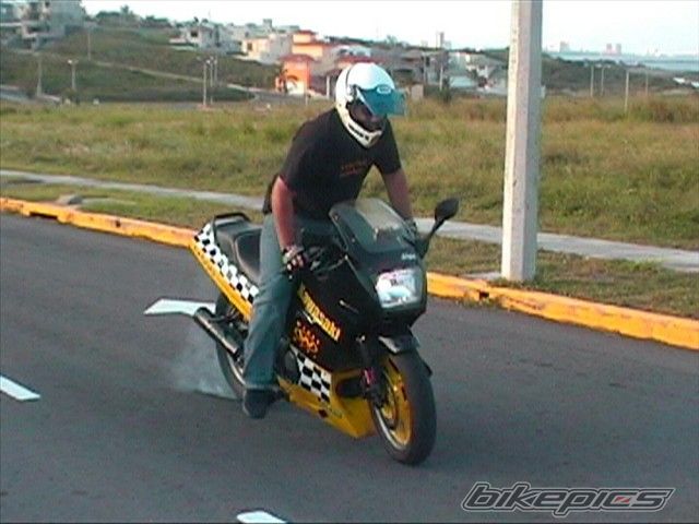 Photo 900164