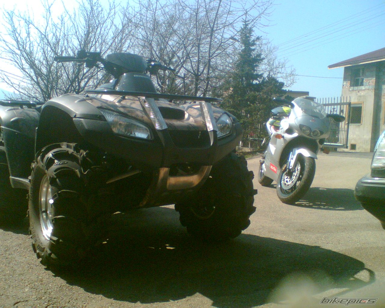Photo 900353