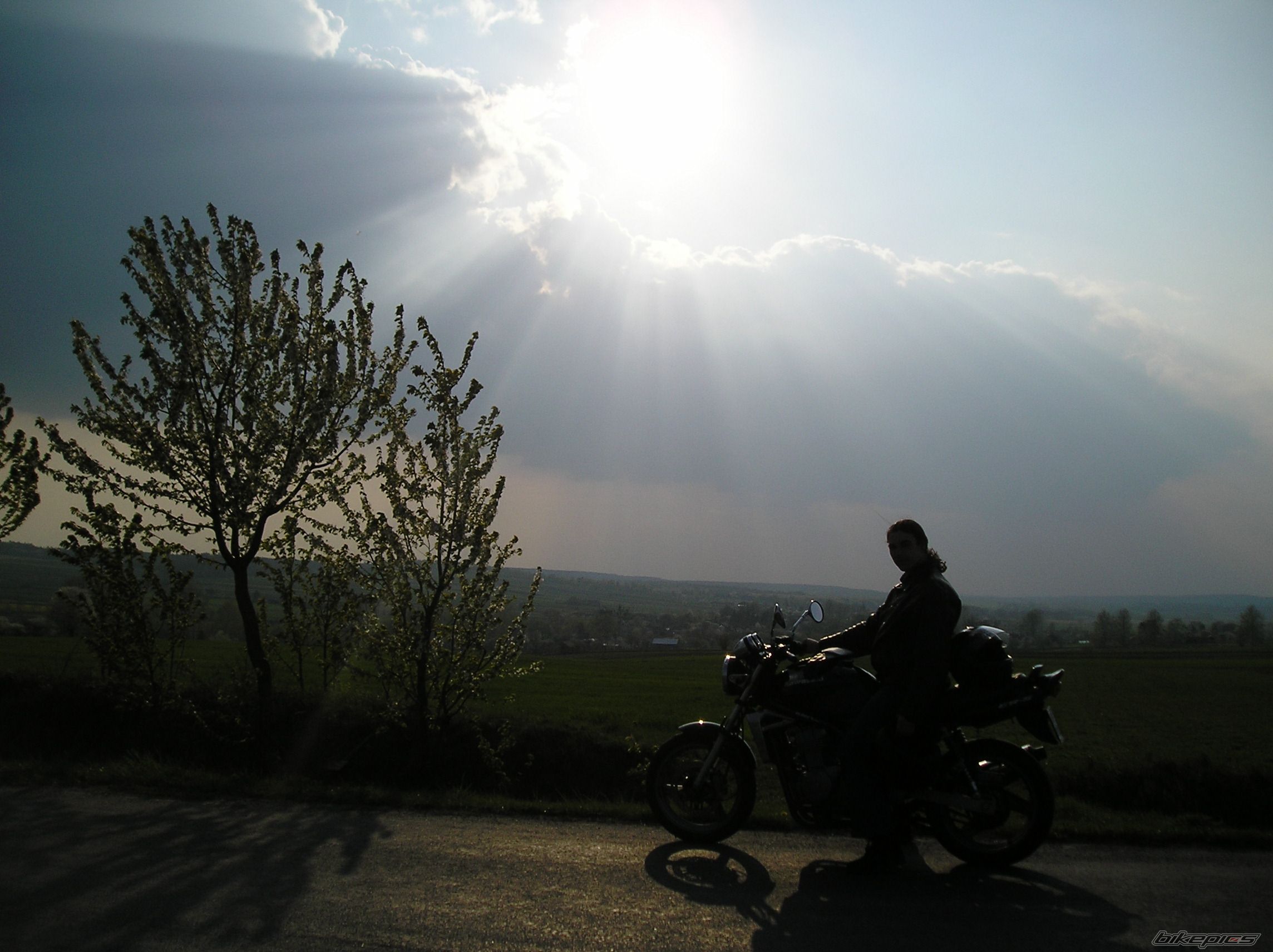 Photo 900365