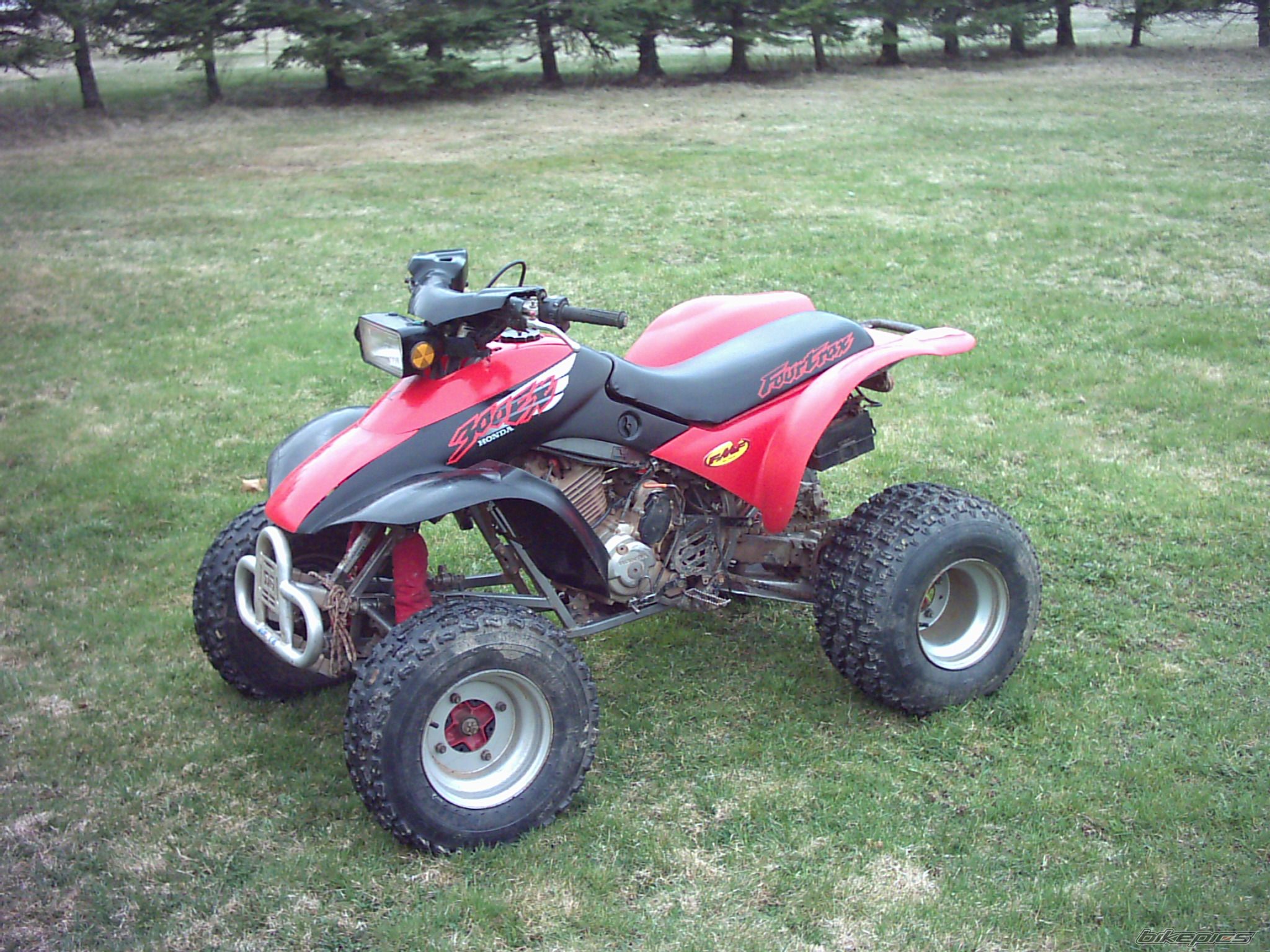 Photo 900377