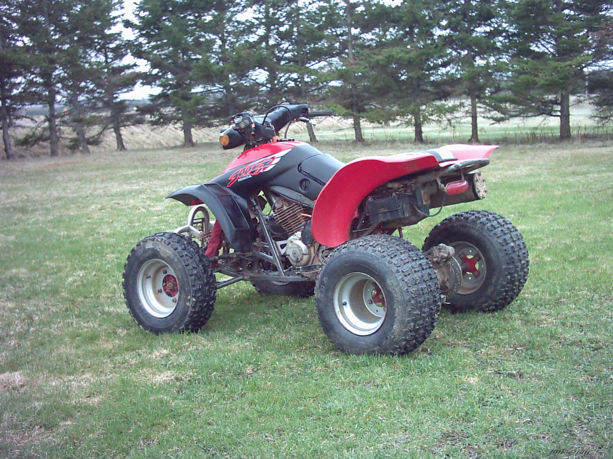 Photo 900385