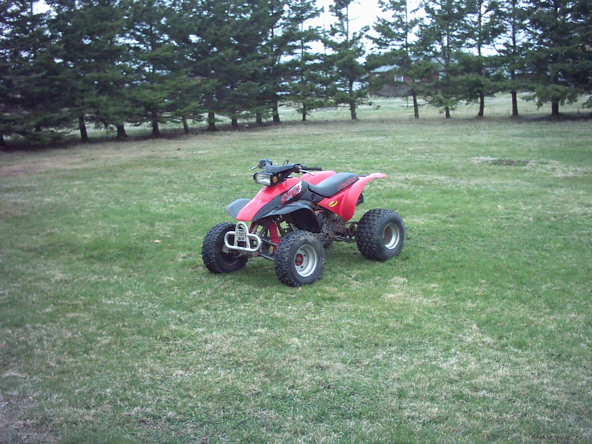 Photo 900388