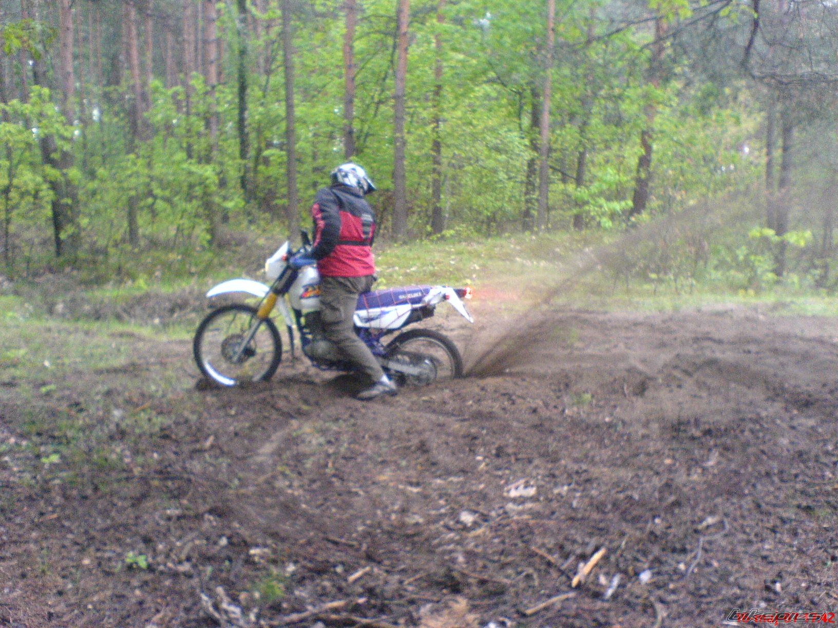 Photo 900399