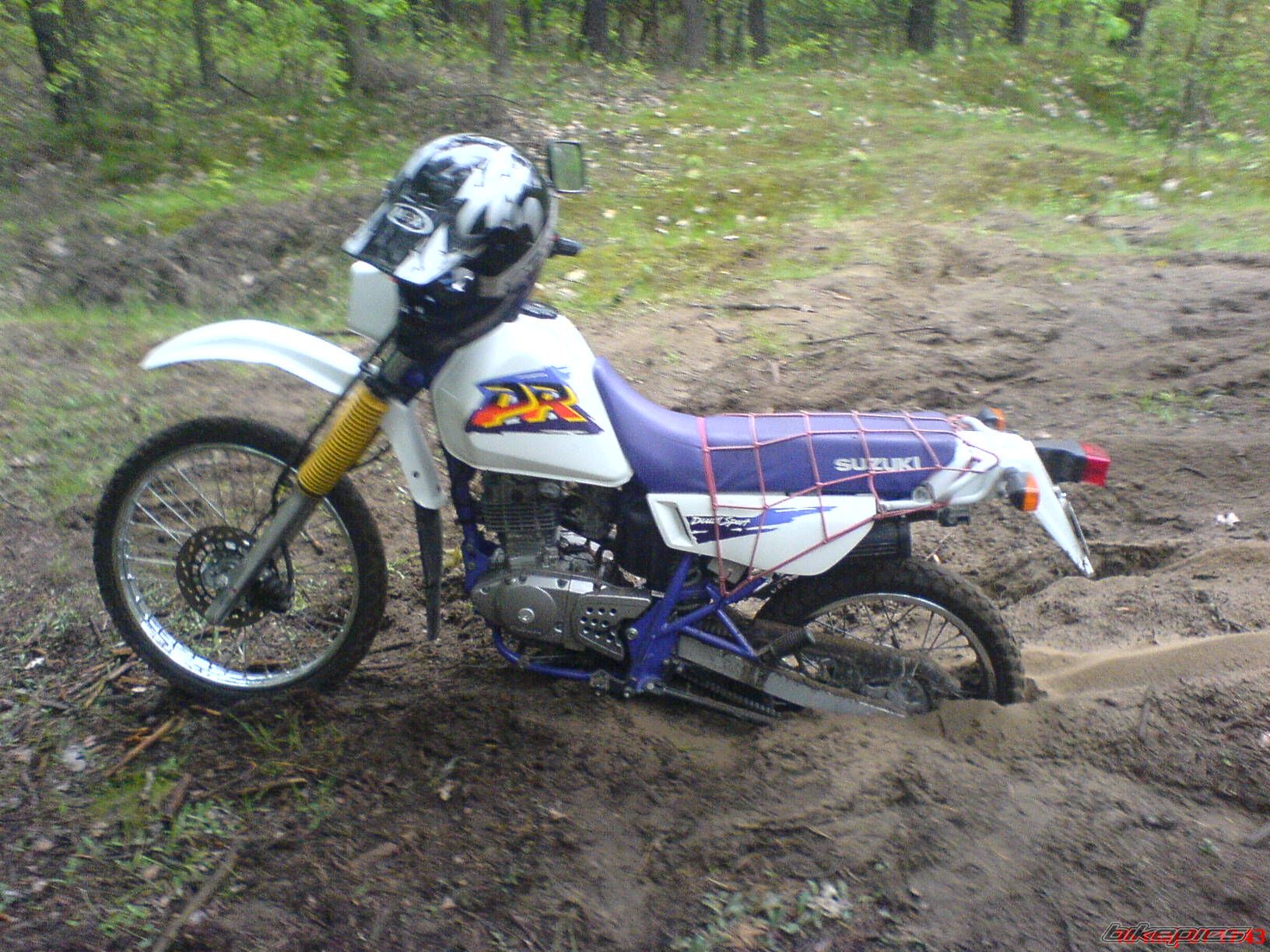 Photo 900400