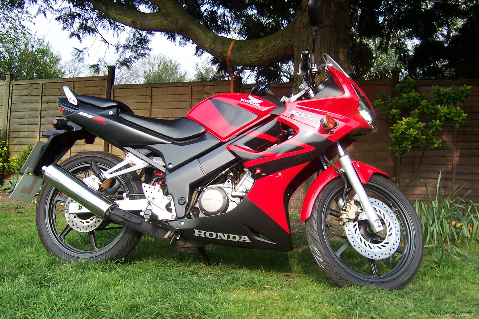 Bike Photo 900479