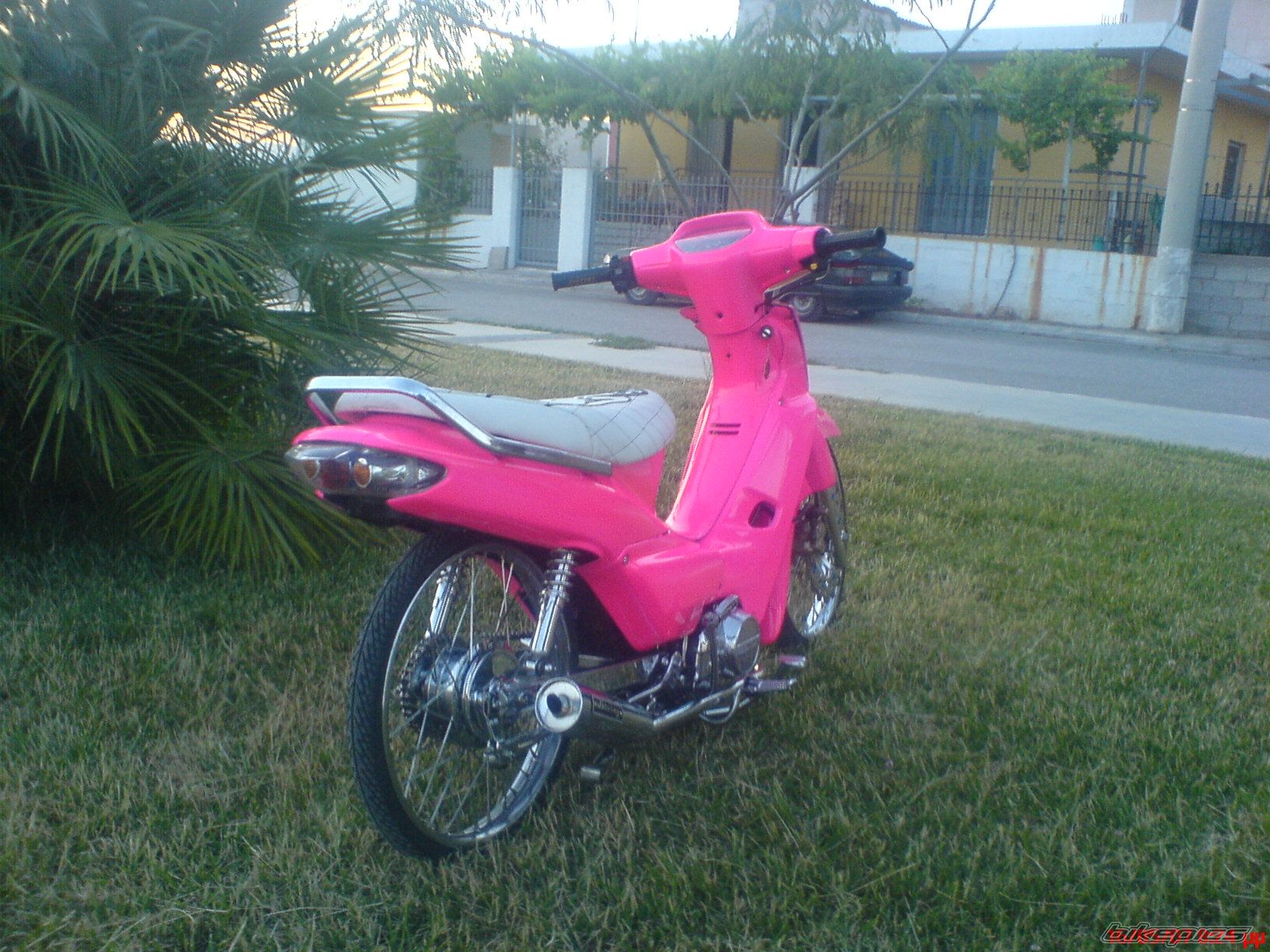 Photo 900510