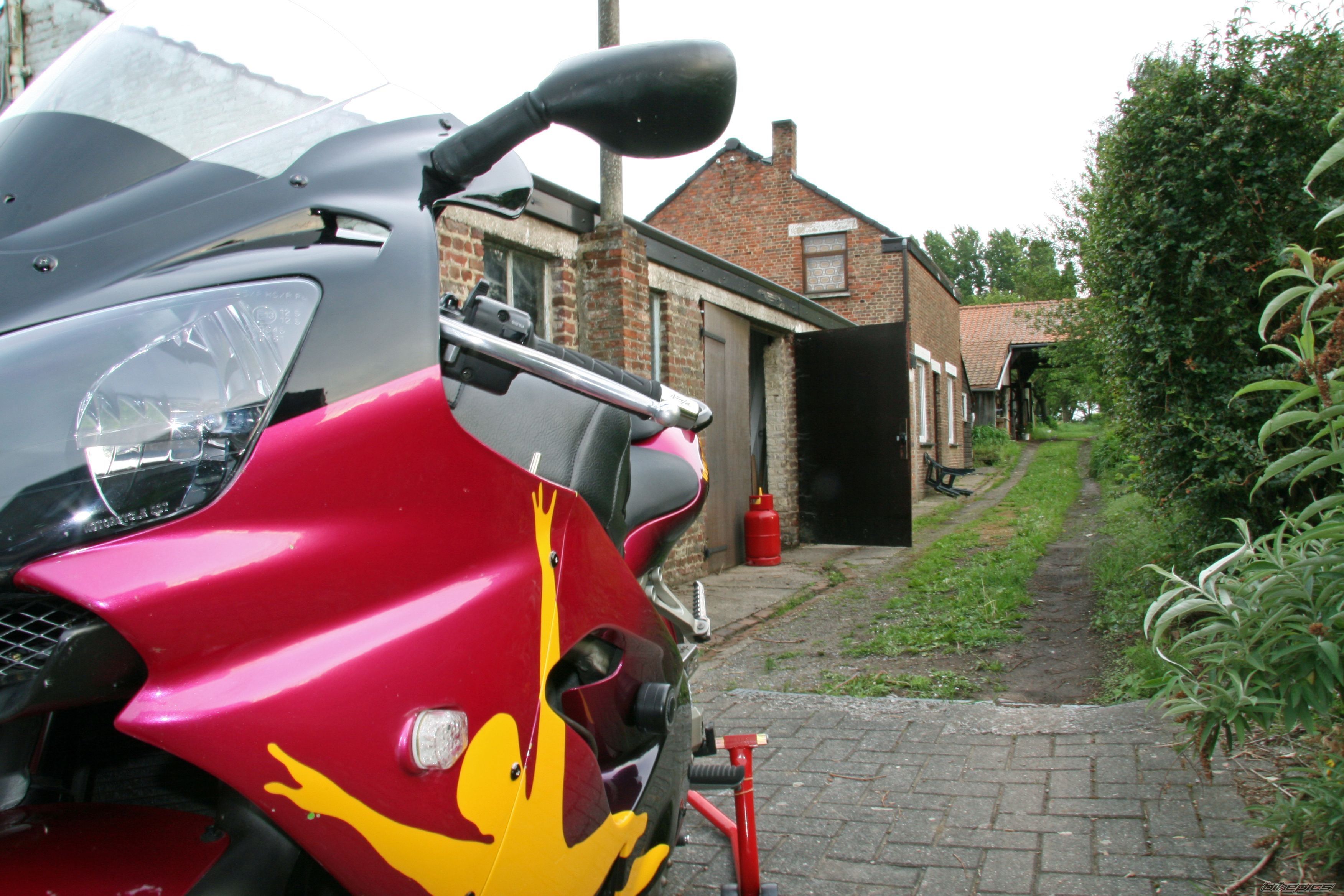 Photo 900533