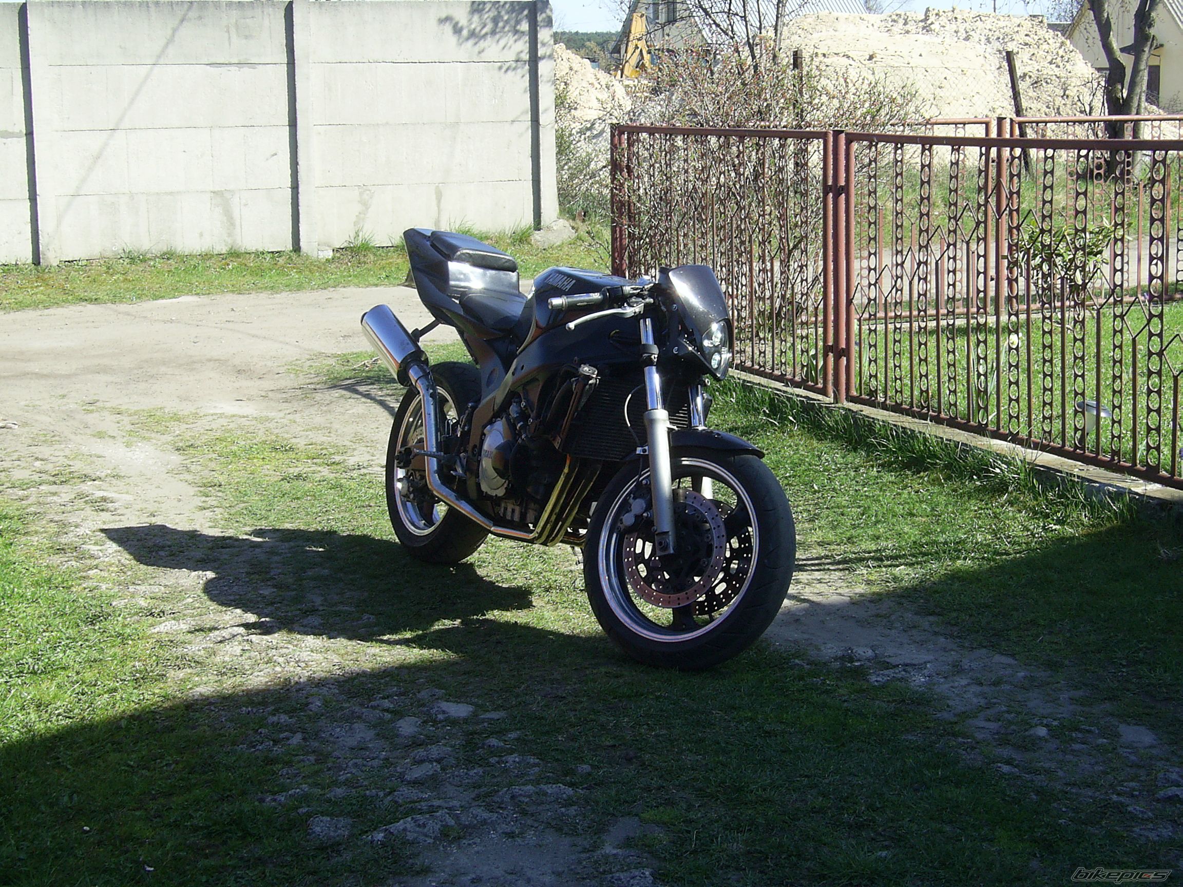 Photo 900565