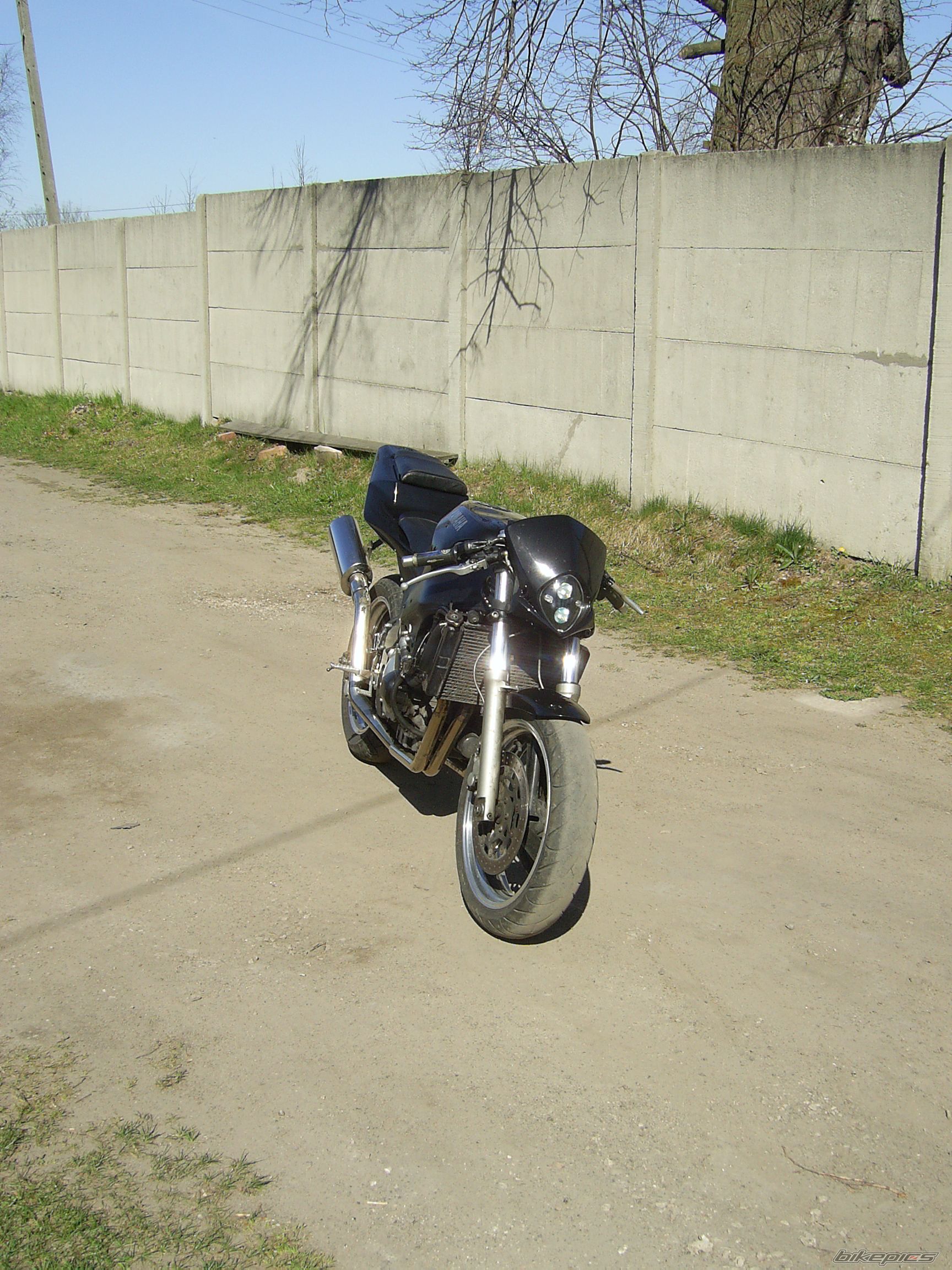 Photo 900568