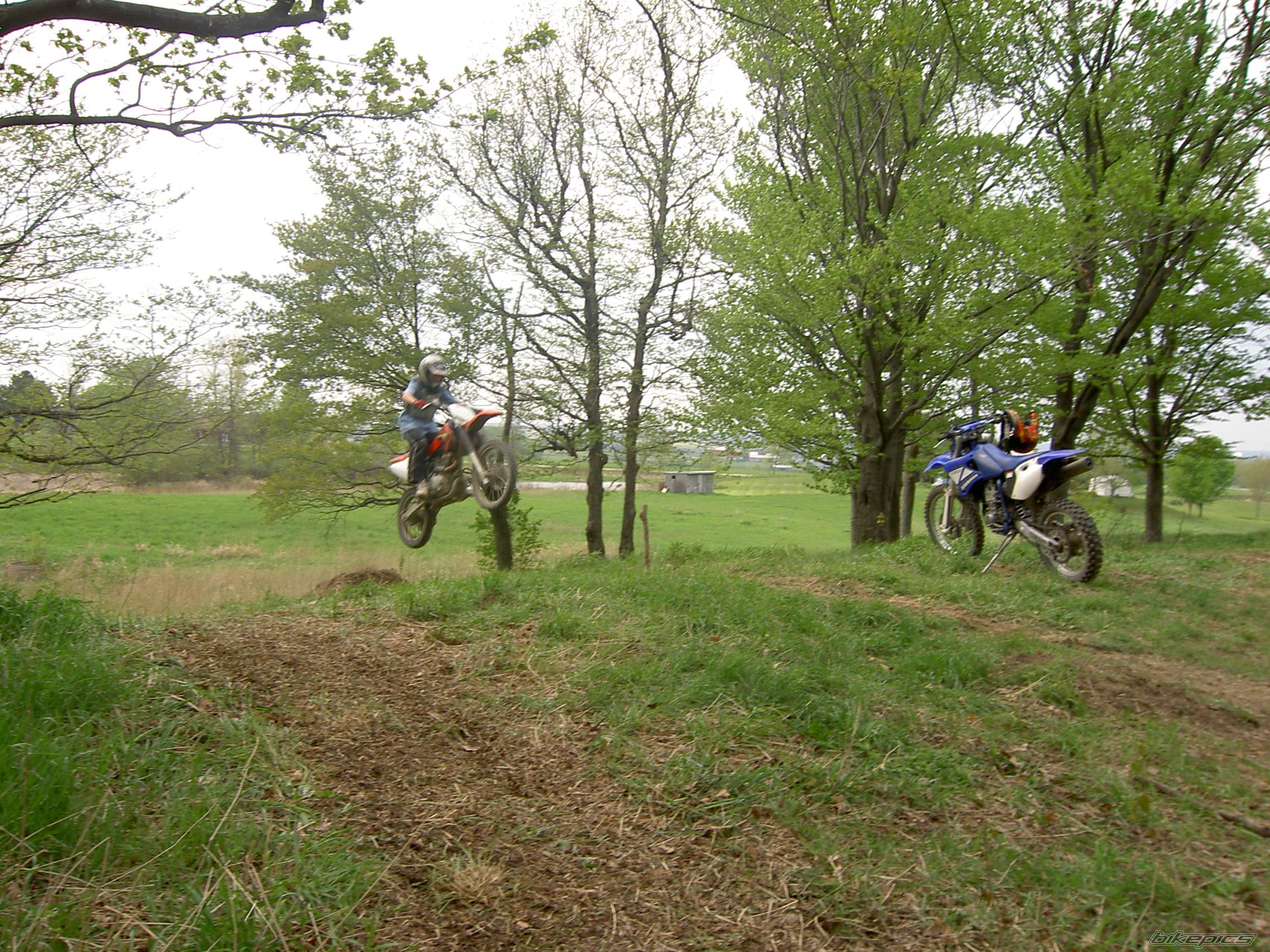 Photo 900572