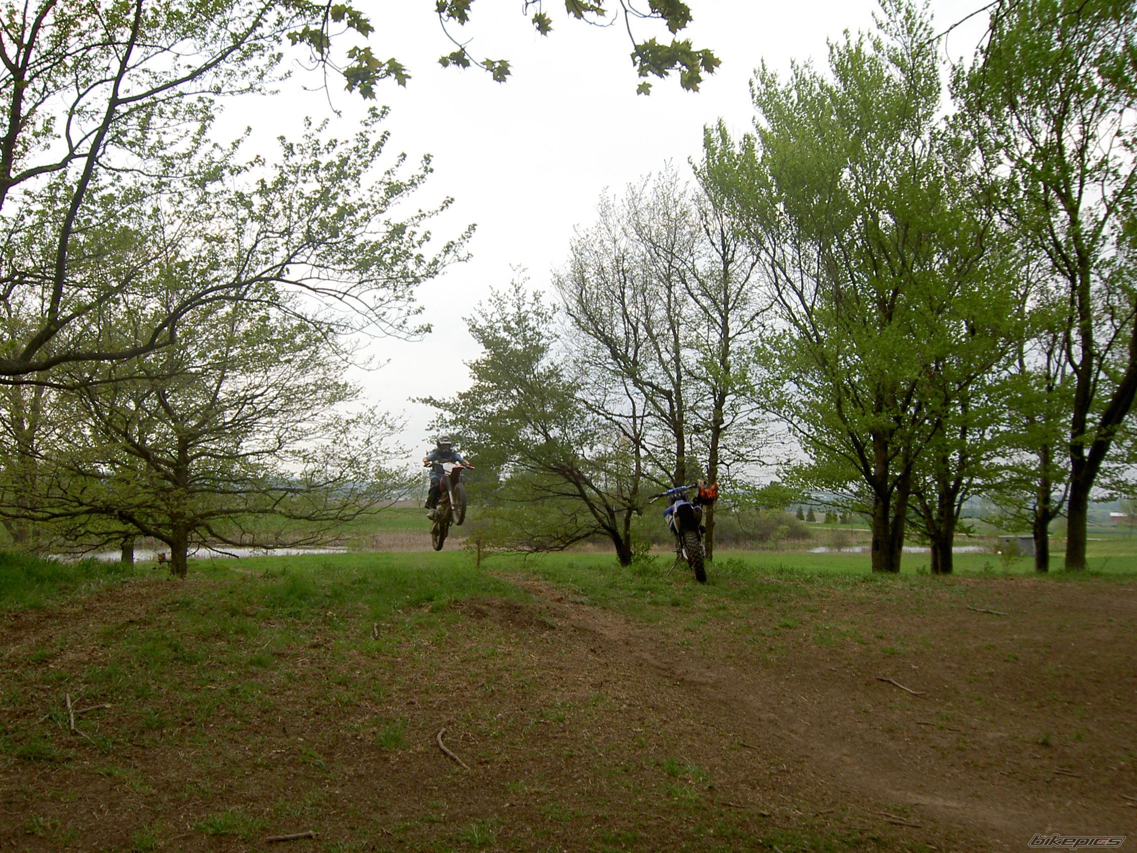 Photo 900573