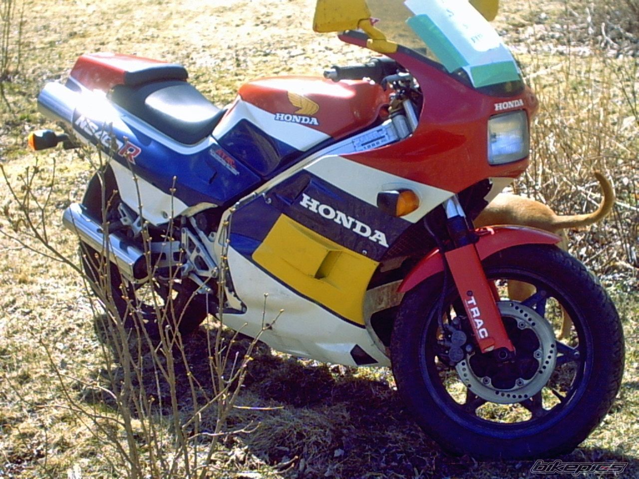 Bike Photo 900574