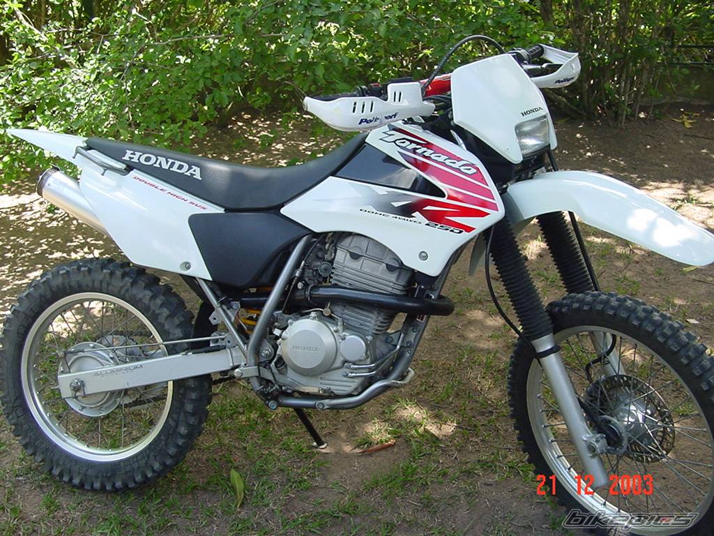 Photo 90079