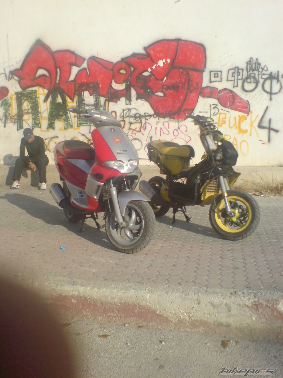 Photo 901094