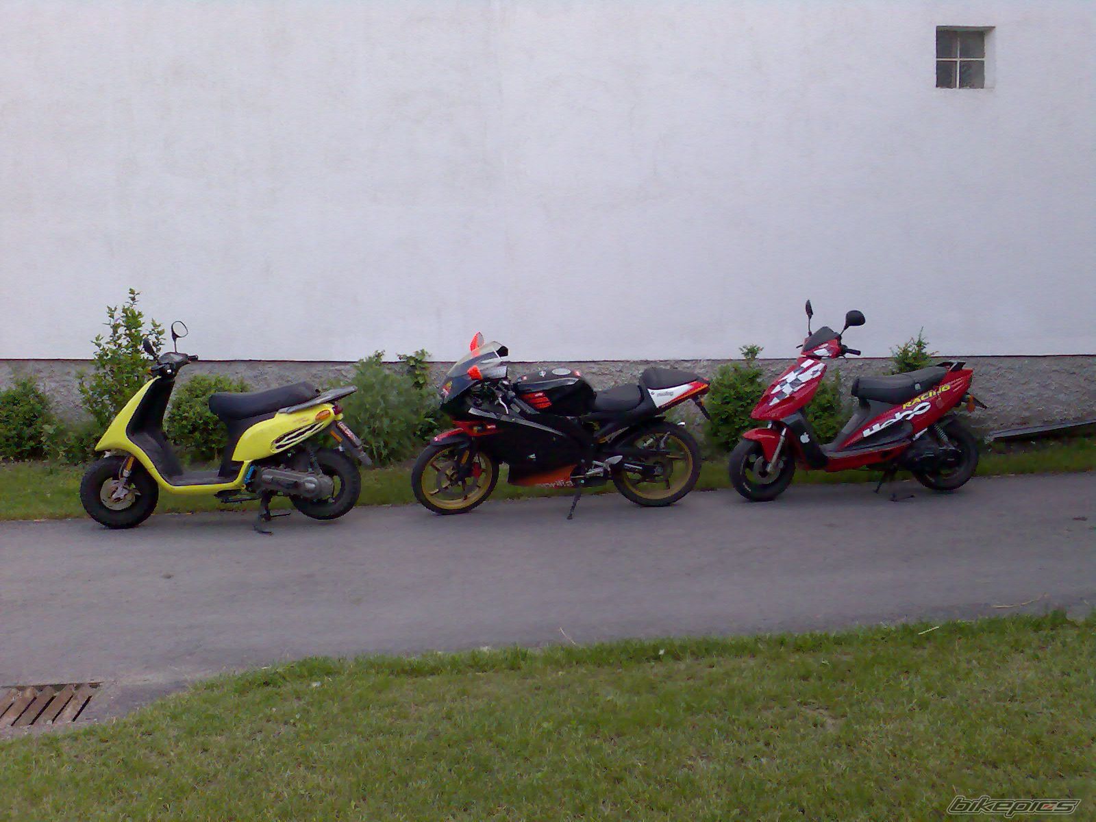 Photo 901127